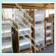 BOPET film Polyester film