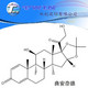 Triamcinolone Acetonide