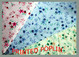 printed polyester cotton fabric, tc fabric, textile, cloth, poplin, lawn, twill, polyester fabric