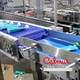 pouch case packer, pouch case packer machine, doypack case packer, pouch packaging machine