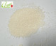 ion exchange resin