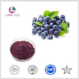 Fruits vegetables powder