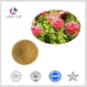 plant extract