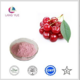 plant extract