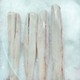 blue shark, shark fillet, blue shark fillet