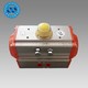 Pneumatic Rotary Actuator