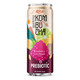 kombucha drink, mango kombucha, sparkling kombucha, prebiotic drink, healthy beverage, RTD tea